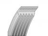 V-Ribbed Belt:L3C11-59-099F