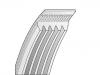 V-Ribbed Belt:51968200332